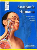 Anatomía humana