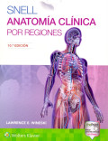 Anatomía clínica por regiones