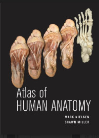 Image of Atlas of human anatomy