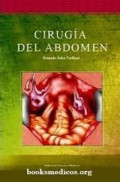 Cirugía del abdomen