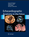 Echocardiographic anatomy in the fetus
