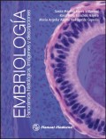 Embriologia : panoramica histologica imagenes y descripciones