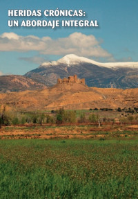 Image of Heridas crónicas : un abordaje integral