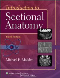 Image of Introduction to sectional anatomy