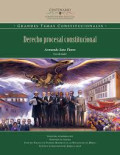 Derecho procesal constitucional