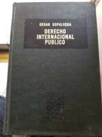 Image of Curso de derecho internacional público