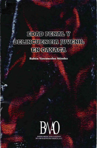 Image of Edad penal y delincuencia juvenil en Oaxaca